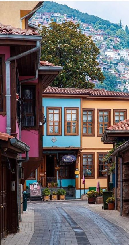 bursa2