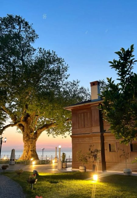 yalovada-hava-durumu